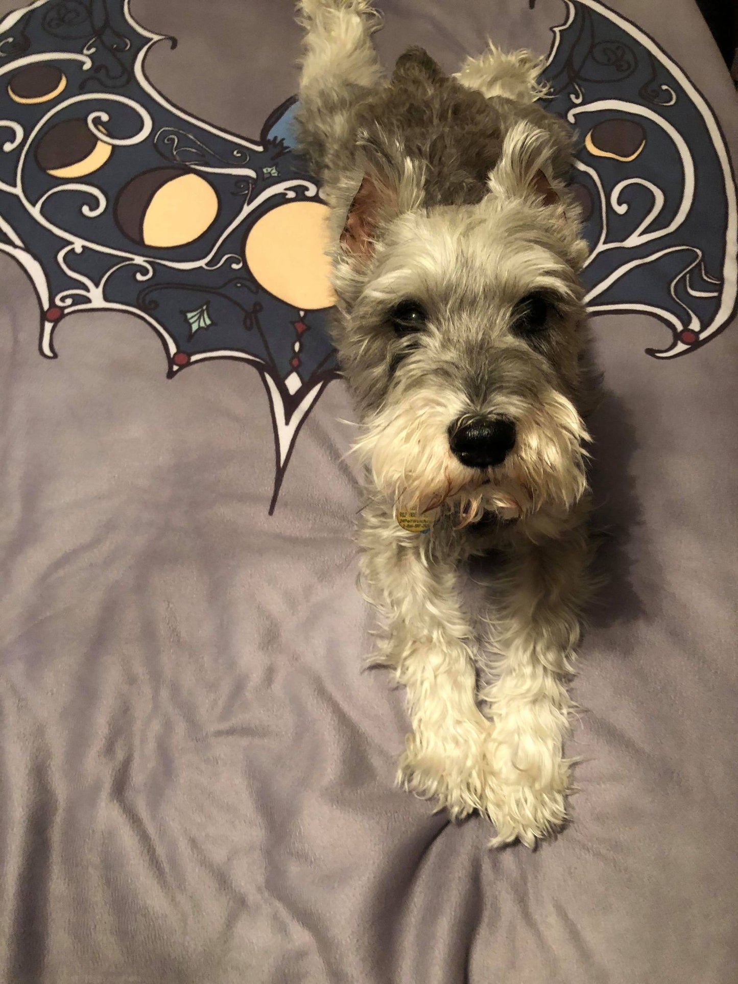 MoonPhase Bat - Fleece Sherpa Blanket - GothFromHoth Designs