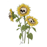 Skullflowers - Professional Prints