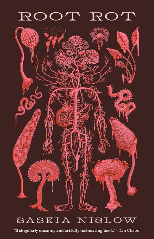 Root Rot cover image