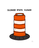 Illinois State Flower - 15 oz mug - The Art of Dena Tullis